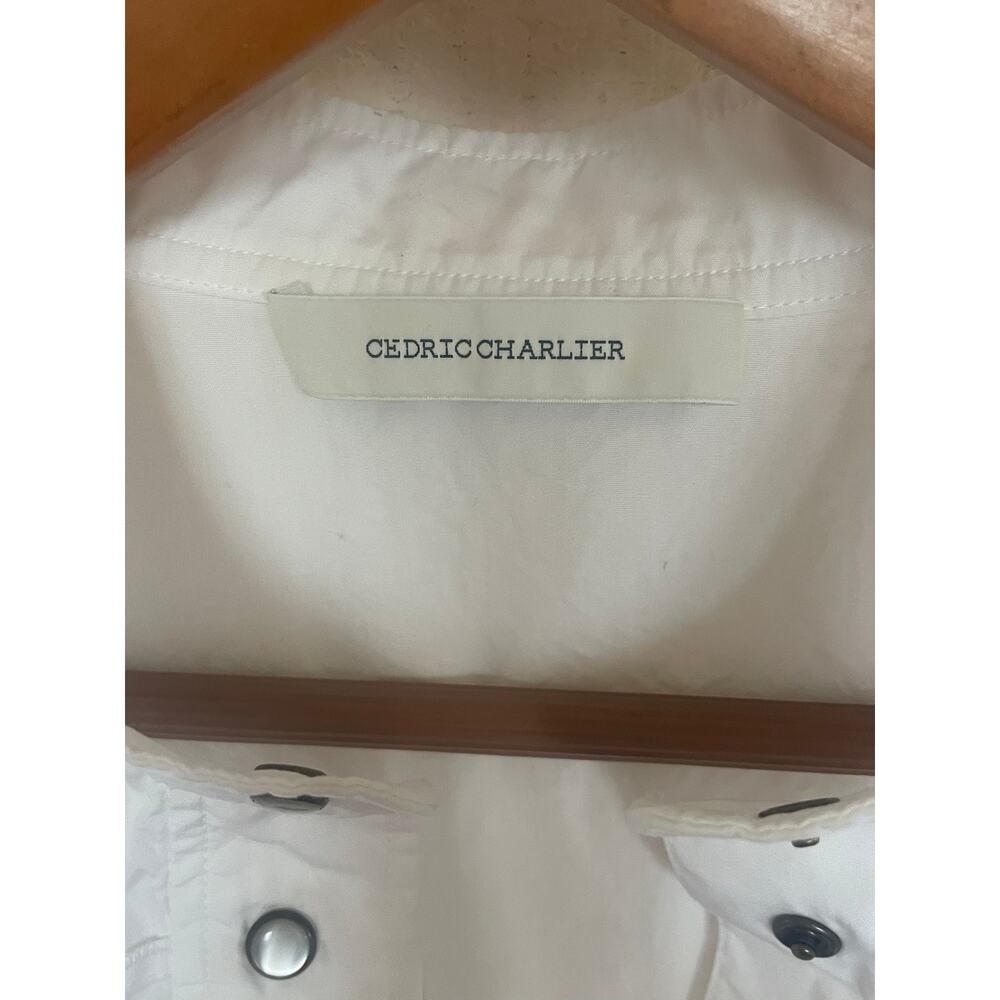 CEDRIC CHARLIER Oversized Poplin Eyelet Blouse Size 8 White AS IS WITH FLAW Top - Picture 3 of 11